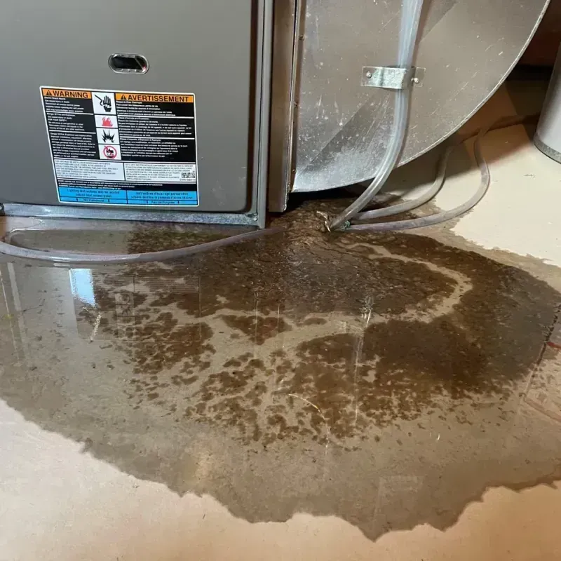 Appliance Leak Cleanup in Highland, AR